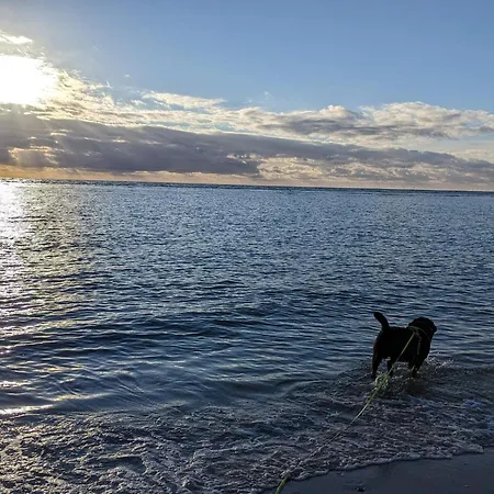Modern Retreat In Blavand-by Traum Hébergement de vacances *